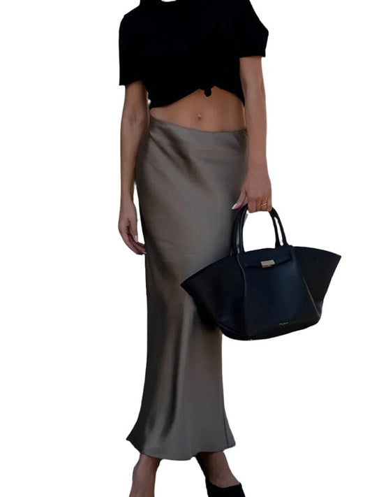 Casual Long Skirt Elastic High Waist A-Line Satin Skirt for Spring, Streetwear Chic